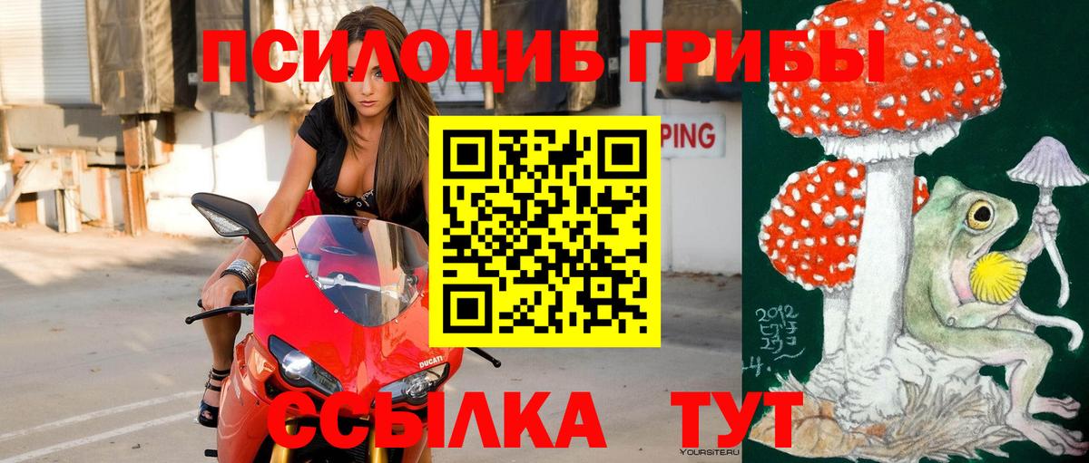 Галлюциногенные грибы мухоморы  Вход с VPN  Туапсе 