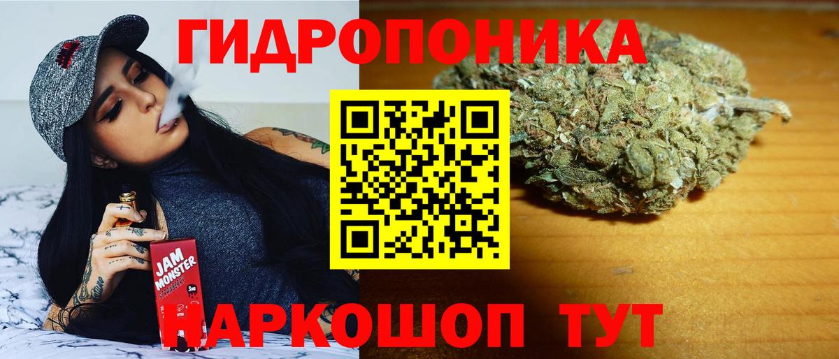 Конопля OG Kush Туапсе